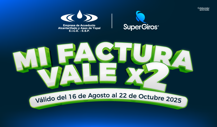 MI FACTURA VALE POR 2